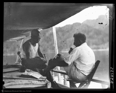 http://lbry-web-002.amnh.org/san/to_upload/Beck-PapuaNewGuinea/W-4x5-negs/281464.jpg