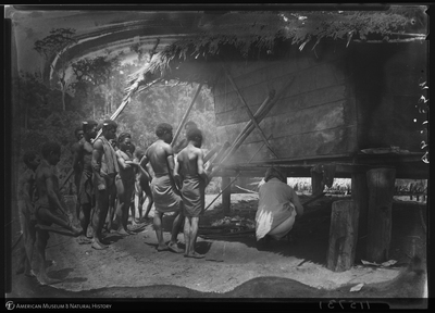 http://lbry-web-002.amnh.org/san/to_upload/Beck-PapuaNewGuinea/NG-5x7-negs/115731.jpg