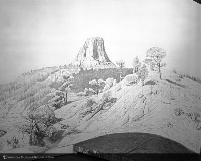 http://images.library.amnh.org/d/t/8x10/0002/00318992_l.jpg